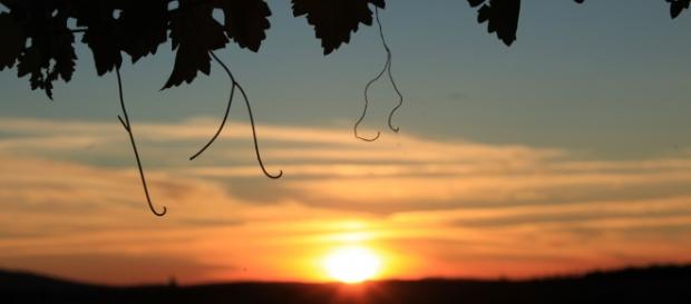 Região de Trás-os-Montes para saborear em Lisboa Região de Trás-os-Montes para saborear em Lisboa