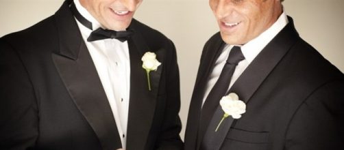 Il consiglio di stato delegittima i matrimoni gay