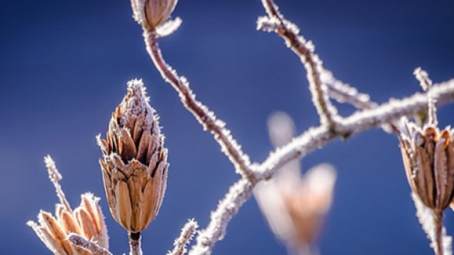 Previsioni del tempo per l&rsquo;inverno 2016