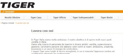 Offerta di lavoro con Tiger: come inviare il cv