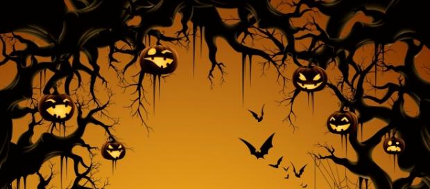halloween si avvicina. festeggia con dolcezza! halloween si avvicina. festeggia con dolcezza!