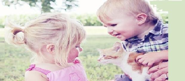 Los niños buscan apoyo en sus mascotas Los niños buscan apoyo en sus mascotas