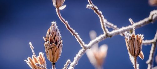 Previsioni del tempo per l'inverno