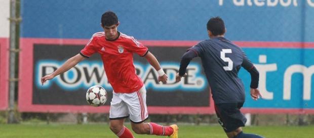 Gonçalo Guedes é a nova pérola do Benfica. Gonçalo Guedes é a nova pérola do Benfica.