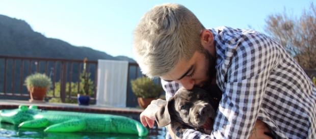 Zayn Malik will nach One Direction durchstarten Zayn Malik will nach One Direction durchstarten