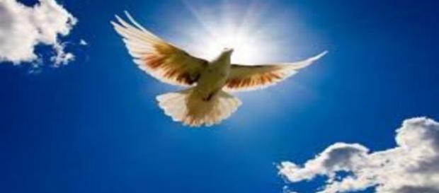 além do tempo espiritualidade novela das 18h além do tempo espiritualidade novela das 18h