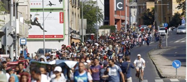 Refugiaţii se întorc în ţara natală Refugiaţii se întorc în ţara natală
