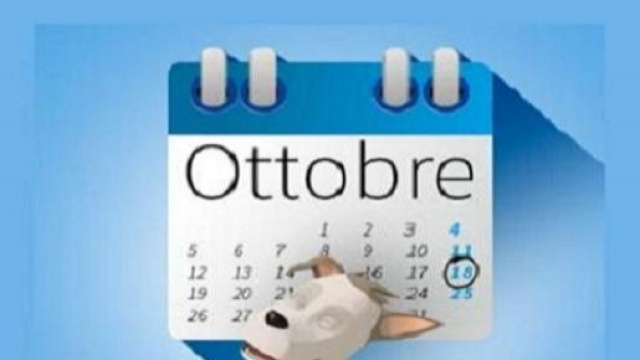 Migliore Rc auto online, quale scegliere subito