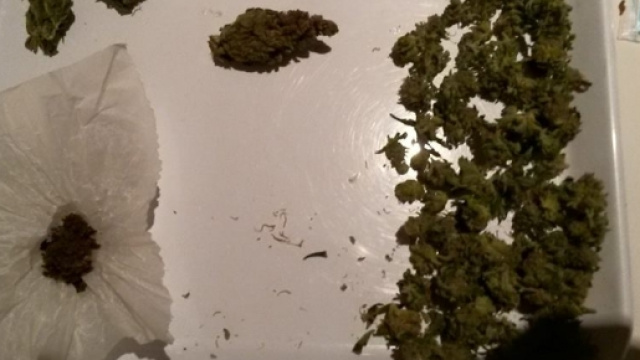 Alcuni grammi di cannabis, tutt'ora illegale.