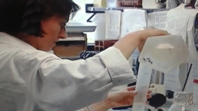 Alla ricerca del gene modificatore del nostro DNA