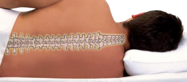 Almofada Ideal. Dor cervical, de cabeça e ombros Almofada Ideal. Dor cervical, de cabeça e ombros