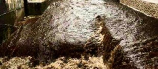Calabria, neonata rischia la vita. Calabria, neonata rischia la vita.