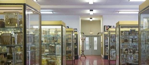 Museu Dupuytren visto de dentro Museu Dupuytren visto de dentro
