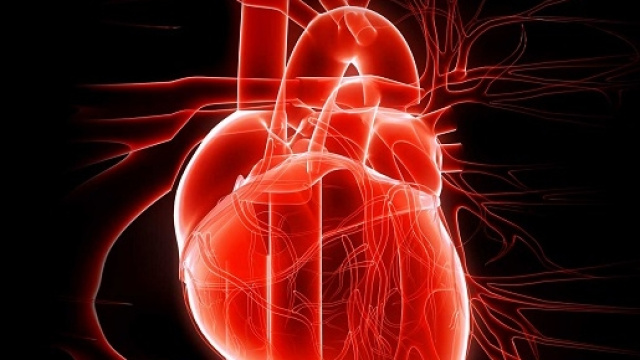 L'infarto &egrave; la prima causa di morte