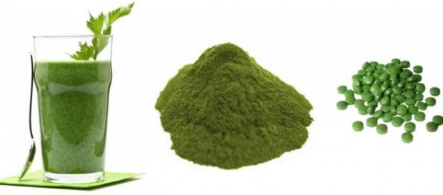 Chlorella - alga, która zaskakuje właściwościami. Chlorella - alga, która zaskakuje właściwościami.