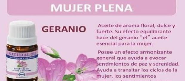 Champúes aromáticos con geranio Champúes aromáticos con geranio