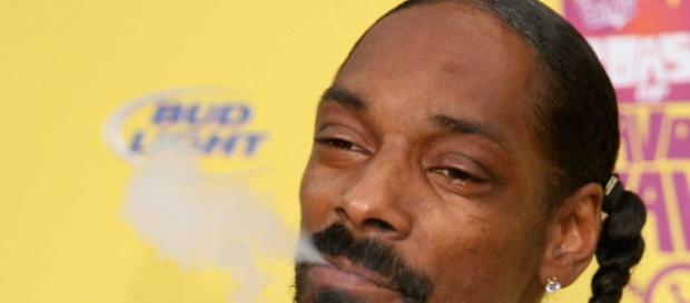 Snoop Dogg e o seu novo negócio Snoop Dogg e o seu novo negócio