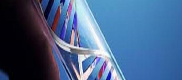 test del DNA non è sempre necessario in giudizio test del DNA non è sempre necessario in giudizio
