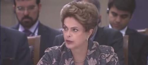 Dilma apoia guerra ao terrorismo