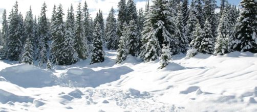 Neve al di sopra dei 7-800 metri