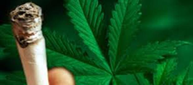 Marlboro M: Primele țigări cu Marijuana Marlboro M: Primele țigări cu Marijuana