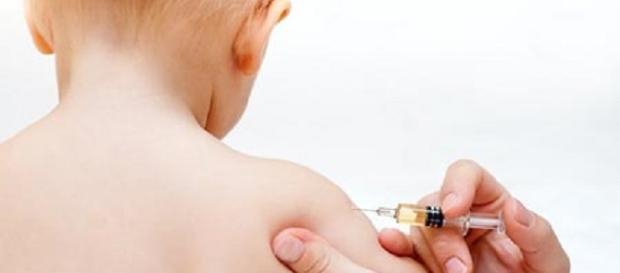 El calendario de Vacunación de los bebes El calendario de Vacunación de los bebes
