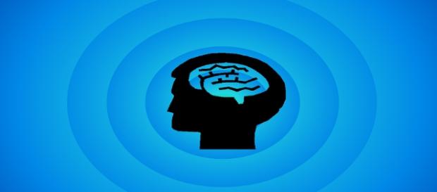 El hemisferio izquierdo del cerebro, El hemisferio izquierdo del cerebro,