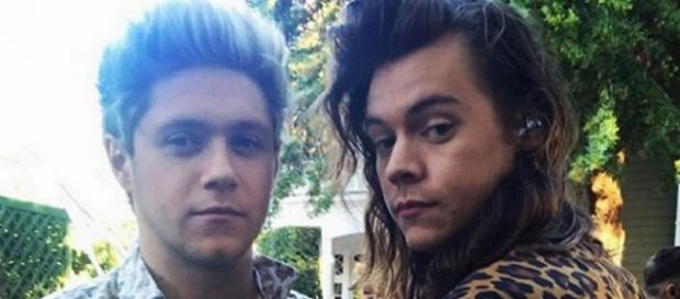 One Direction: Niall Horan und Harry Styles One Direction: Niall Horan und Harry Styles
