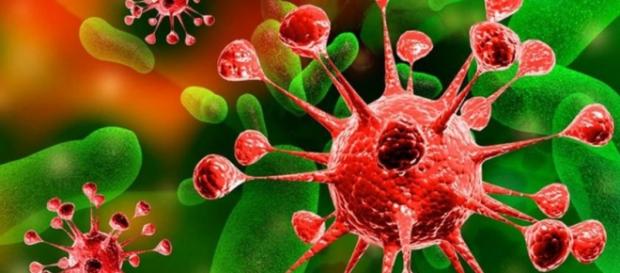 Sistema inmunológico para derrotar el cáncer Sistema inmunológico para derrotar el cáncer