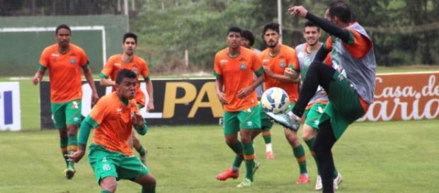 Divulgação / site Oficial do Chapecoense Divulgação / site Oficial do Chapecoense