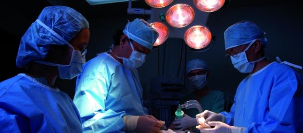 Equipa médica a realizar um transplante Equipa médica a realizar um transplante