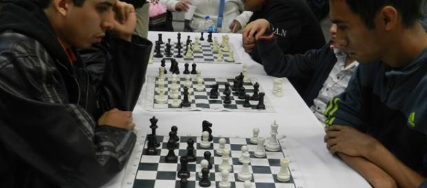 Los torneos se realizan los domingos de 10 a 2 Los torneos se realizan los domingos de 10 a 2