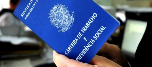 IBGE ofertará 600 vagas em todo o país IBGE ofertará 600 vagas em todo o país