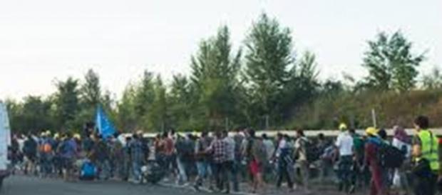 Imigranci zmierzający do Niemiec Imigranci zmierzający do Niemiec