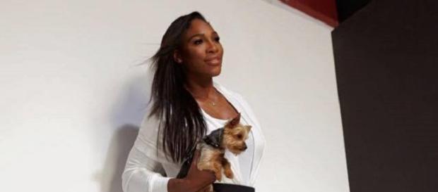 Ist Serena Williams von Rapper Drake schwanger? Ist Serena Williams von Rapper Drake schwanger?