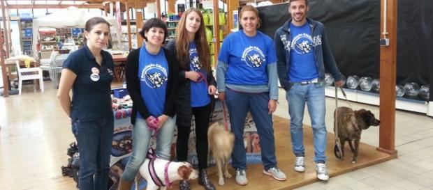 Equipa de voluntários da Associação Cão Viver Equipa de voluntários da Associação Cão Viver