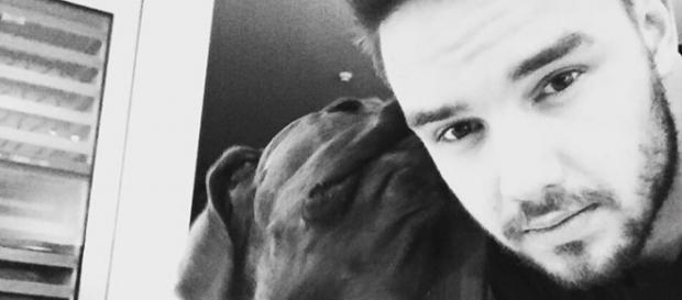 One Direction-Star Liam Payne. One Direction-Star Liam Payne.