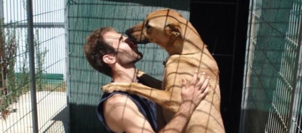 Zeus, uma das mascotes da Associação Cão Viver Zeus, uma das mascotes da Associação Cão Viver