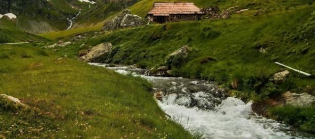 Râul Olteana Țarcu foto_Alin_Drausin Râul Olteana Țarcu foto_Alin_Drausin