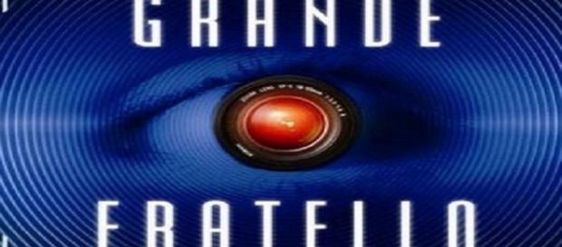Grande Fratello, i sondaggi sul vincitore Grande Fratello, i sondaggi sul vincitore