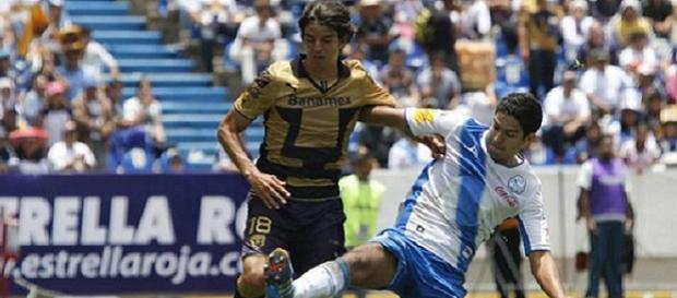 Pumas y Puebla, dos que van a ir a la Libertadores Pumas y Puebla, dos que van a ir a la Libertadores