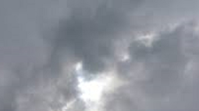 Vento forte: albero gi&ugrave; davanti a una scuola