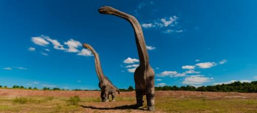 Long-necked sauropods roaming the grasslands.