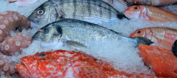 Seafood on sale. Image courtesy Pixabay commons Seafood on sale. Image courtesy Pixabay commons