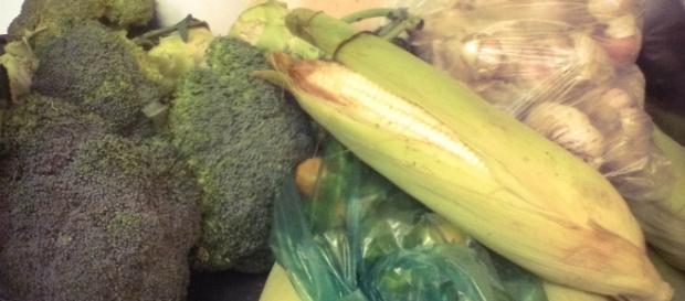 Siembra de soya y vegetales transgenicos Siembra de soya y vegetales transgenicos