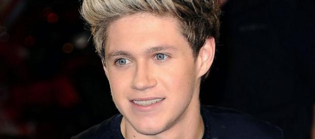 Niall Horan é um dos cantores mais acarinhados Niall Horan é um dos cantores mais acarinhados