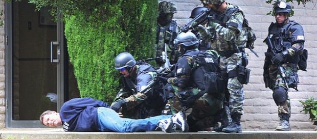 Echipă SWAT în acţiune, arestând un suspect Echipă SWAT în acţiune, arestând un suspect