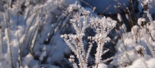 Meteo Dicembre 2015, Natale e Santo Stefano