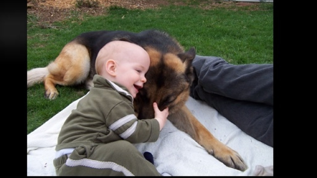 I cani possono diminuire l'ansia nei bambini