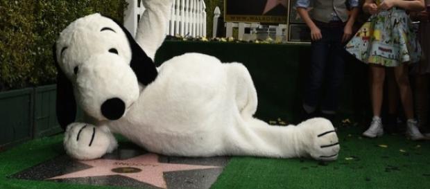 Snoopy ganha estrela em Hollywood Snoopy ganha estrela em Hollywood